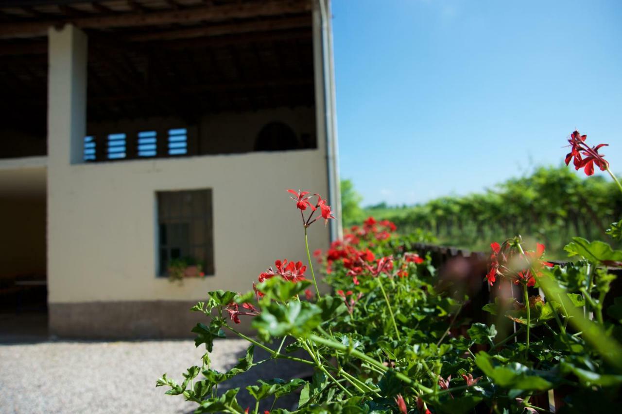 Agriturismo Albarello Sona Exterior photo