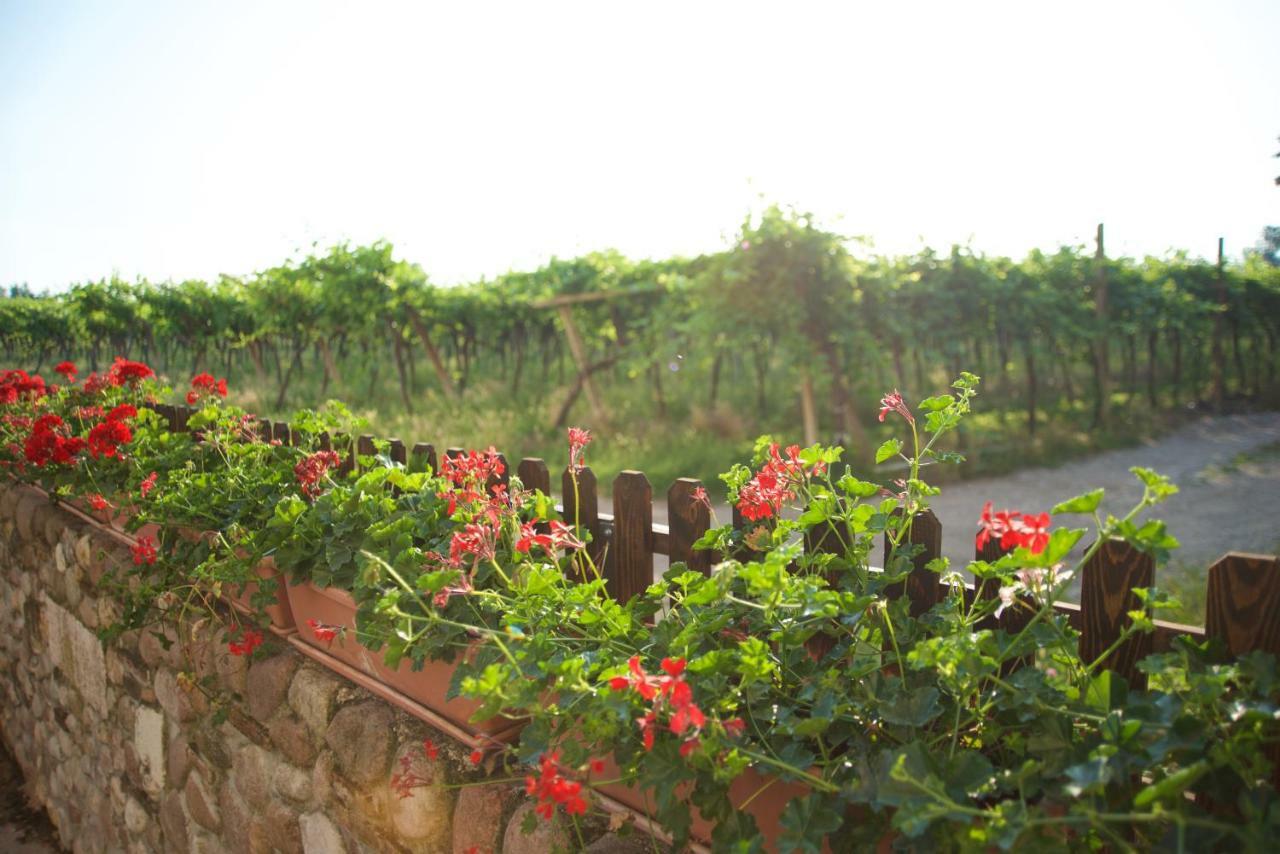 Agriturismo Albarello Sona Exterior photo